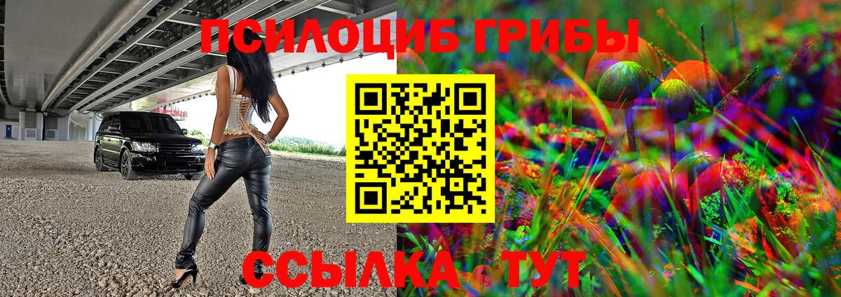 Псилоцибиновые грибы GOLDEN TEACHER Вичуга