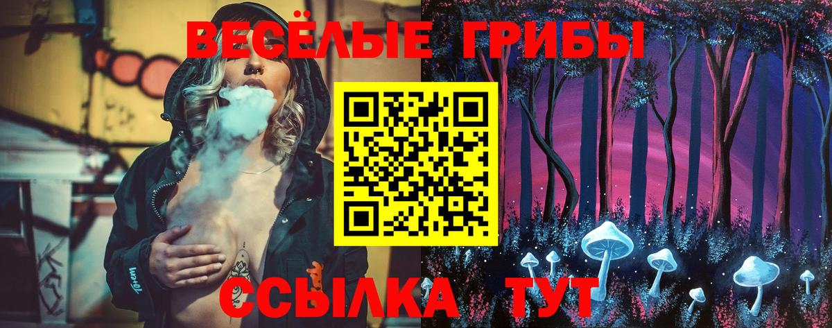 Вичуга  Псилоцибиновые грибы мицелий  Вход с VPN 