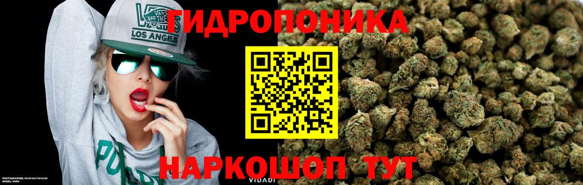 Бошки Шишки Ganja Вичуга